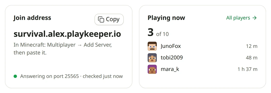 A server's join address at its free name, and who's playing now.